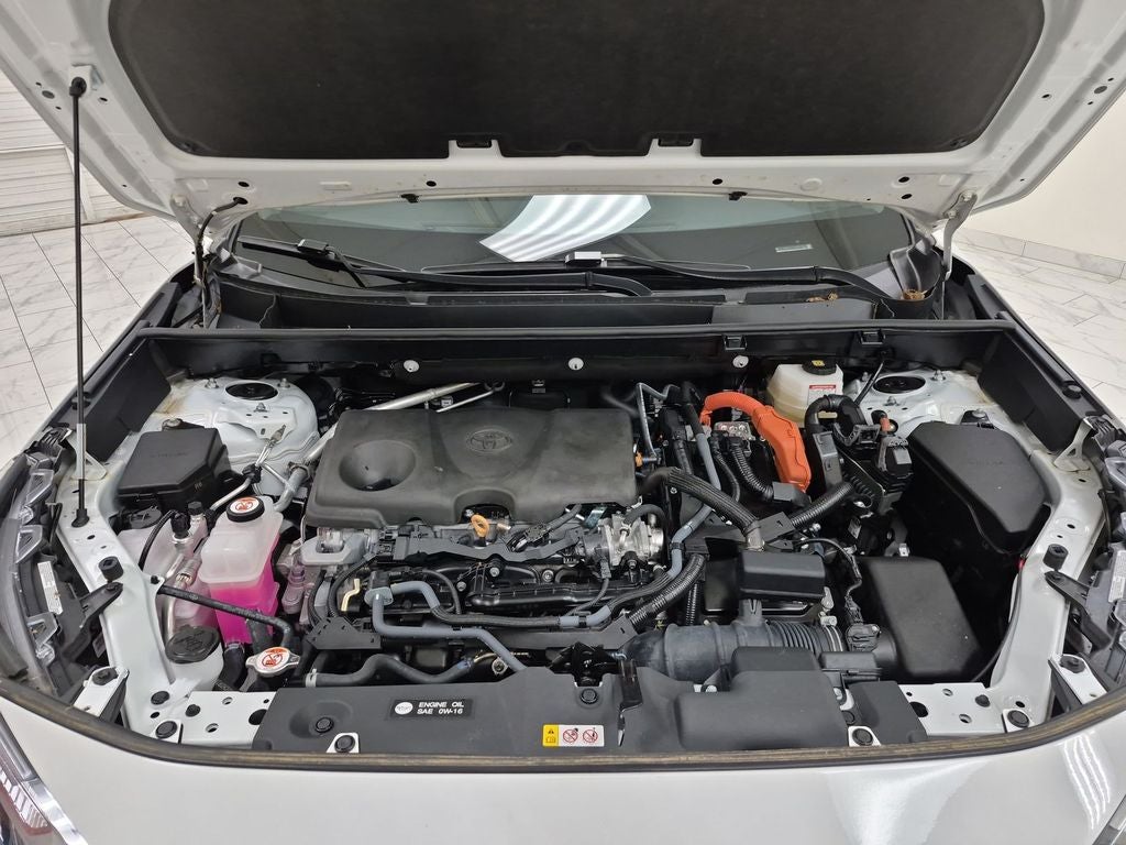 2025 Toyota RAV4 Hybrid Hybrid Woodland