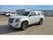 2017 Cadillac Escalade Premium Luxury